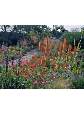 RHS L2 Certificate in principles of plant growth & Development at KINGS COLLEGE CAMBRIDGE