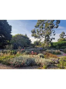 Drought Resistant Planting