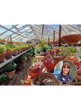 Succulent Masterclass with Emily Allard 