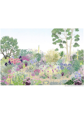 Beth Chatto's Gravel Garden Range - Greetings Card