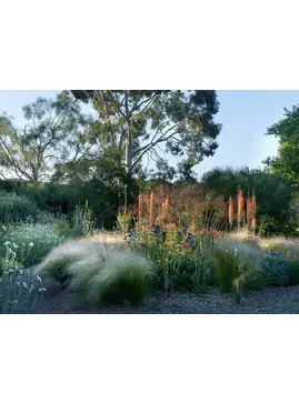 Practical Guide to Creating a Year Round Border