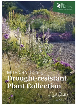 Beth Chatto's Drought-resistant Plant Collection