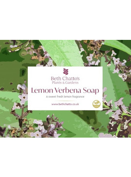 Beth Chatto Lemon Verbena Soap 