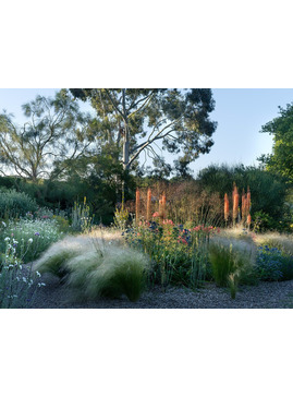 Practical Guide to Planting a Year Round Border in Autumn