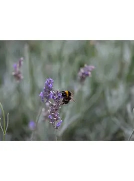 Photography: starting out or refining your skills 