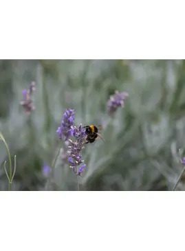 Photography Course Shadows, Light & still Life 