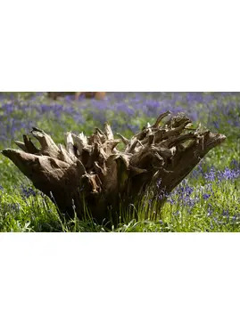 Photography course Starting out or  Refining your skills 