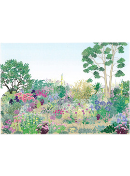 Beth Chatto's Gravel Garden Range - Postcard