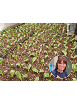 Seed Propagation Masterclass with Emily Allard