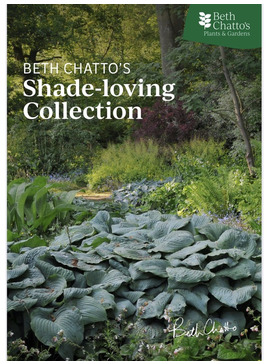 Beth Chatto's Shade-loving Collection