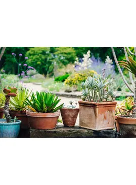 Beautiful Containers