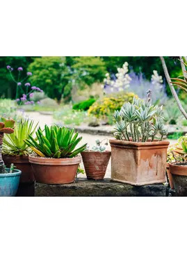 Beautiful Containers