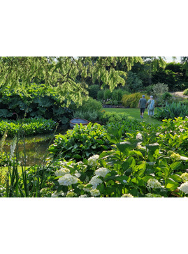 Summer Solstice in the Garden 