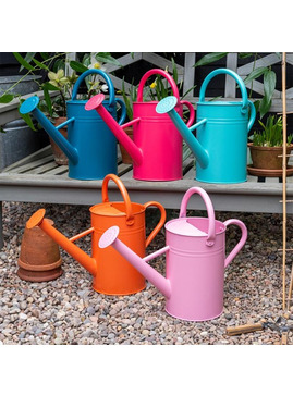 Galvanised Steel Watering Can 4.5L
