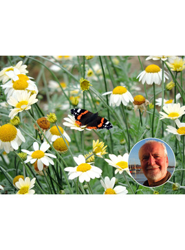 Wildlife Walk with Dr Chris Gibson