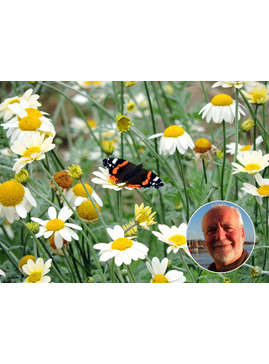 Wildside walks at Beth Chatto Gardens 