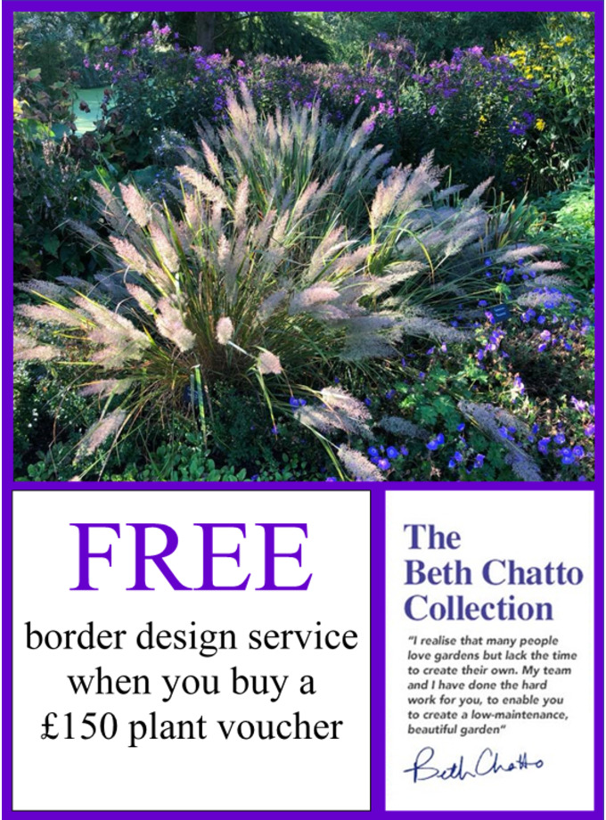 Free Bespoke Border Design Service The Beth Chatto Gardens Free Bespoke Border Design Service
