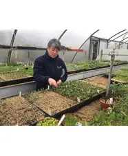 RHS Level 2 Certificate in principles of plant growth & Development