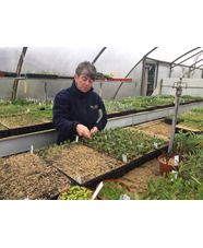 RHS Level 3 in Horticulture