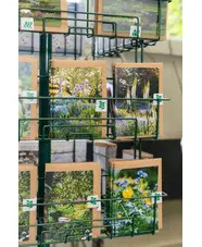 Beth Chatto Greetings card