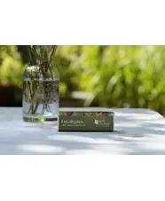 Eucalyptus Essential Oil