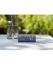 Lavender Essential Oil