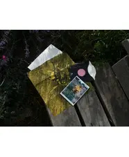The Meanwhile Garden Zine #1