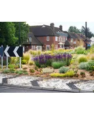 Planting in Sand and Rubble Course