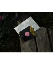 The Meanwhile Garden Zine #1
