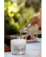 Gravel Garden Glass Tumbler - Designed by Emma Britton