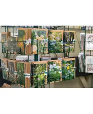 Beth Chatto Greetings Card  
