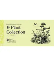 9 Plant Collection Voucher