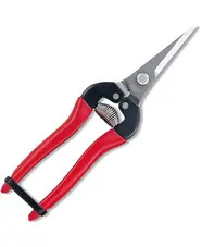 ARS Harvesting pruner