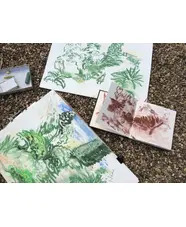 Beth Chatto Art Group