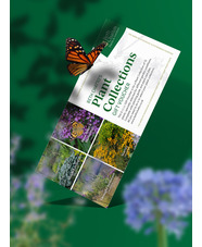 £115 Plant Collections Gift Voucher