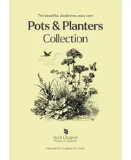 Pots and Planters Collection - Sun