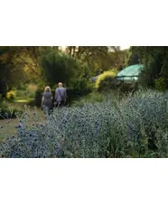 Summer Solstice in the Garden