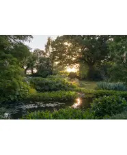 Summer Solstice in the Garden