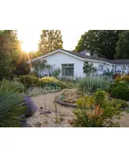 Summer Solstice in the Garden