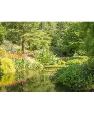 Plantsmanship by design course 