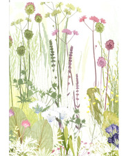 Beth Chatto Card - Beth's Garden