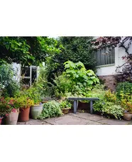 Pots and Planters Collection - Shade 