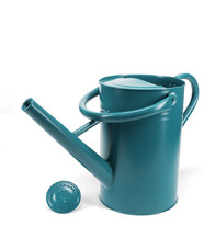 Galvanised Steel Watering Can 4.5L