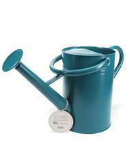 Galvanised Steel Watering Can 4.5L