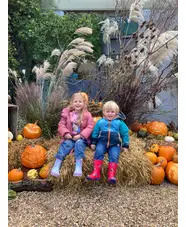 Childrens Pumpkin Carving 