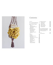 The Caley Brothers - Project Mushroom 