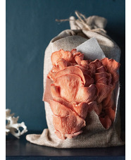 Grow Your Own Oyster Mushrooms