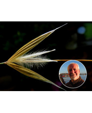 Botany for Gardeners