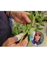 Cuttings Masterclass with Emily Allard