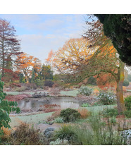 Beth Chatto Card Frosty Water Garden